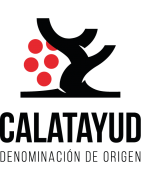 Los mejores vinos de la D.O. Calatayud